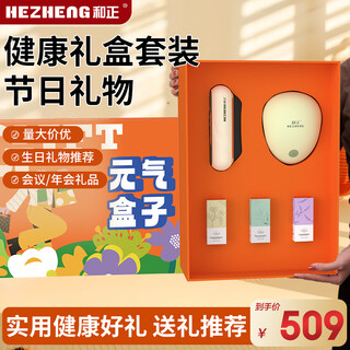 Hezheng yuanqi box exquisite gift box head massager scalp massager cat claw kneading electric gua sha board holiday gifts for family and elders yuanqi box hz-box-3