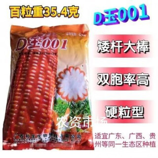 Семена кукурузы d jade 001 из жарких районов Гуанси имеют короткие стебли и крупные початки с золотистыми и твердыми ядрами и высоким процентом двойников. Семена кукурузы в жарких регионах Гуанси d jade 001 имеют короткие стебли и большие початки, а также золотистые и твердые ядра.