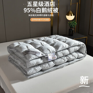 Atourshidai down quilt 95 white goose down winter quilt core thick warm spring and autumn quilt single double air-conditioned quilt gray-twist style 220x240cm10jin jin is equal to 0.5kg