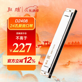 Dunhuang peak 24-hole polyphonic harmonica silver d2408 c key professional performance
