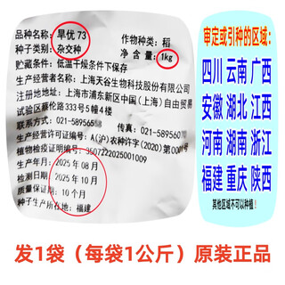 Drought-optimized, water-saving and drought-resistant hybrid upland rice seeds, dry paddy seeds, drought resistance, first-class fragrant, large, early-maturing, brand-new seeds 2jin jin is equal to 0.5 kg, new seeds produced in 2025