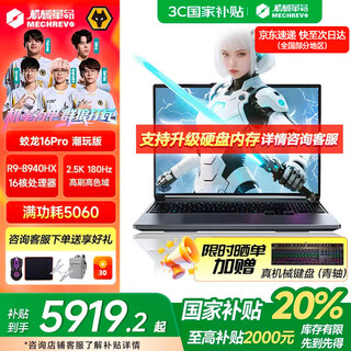 机械革命蛟龙16Pro游戏本潮玩版5060/5070Ti显卡笔记本电脑畅玩游戏本大学生用电脑推荐设计办公学习 蛟龙16Pro潮玩版 R9丨5060丨16G+1T