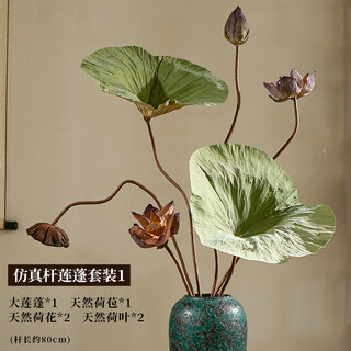 Real flower living room decoration lotus lotus dried flowers natural high-end decorative ornaments bouquet zen light luxury wabi-sabi style simulation rod lotus set 1 without vase dried flower bag
