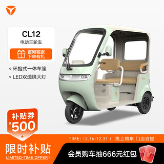 Yadi yadi cl12 youth version electric tricycle, fashionable elderly walking battery car with canopy, pick up in store, choose the color in store