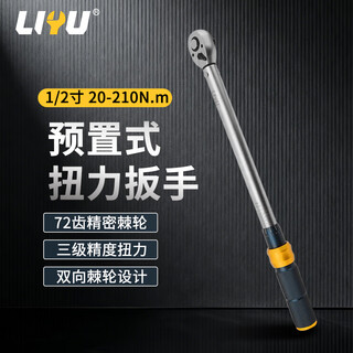 Liyu torque wrench high-precision preset torque wrench auto repair wrench 72 teeth 1/2 dafei 20-210 (n.m)