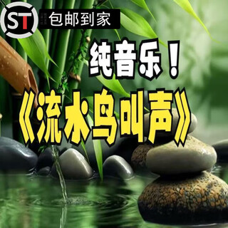 Shantou lincun white noise baby soothing artifact large flowing water white noise deep sleep relaxation decompression yoga music mp3 blue tf memory card music 368 songs