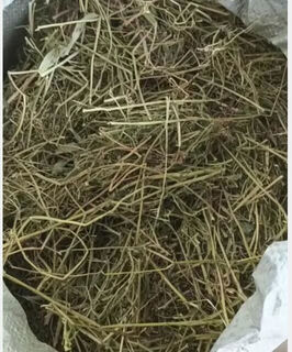 Alpaca fodder, cattle and sheep feed, alfalfa hay, sun-dried fodder, pig farm, sheep feed, cattle hay, alfalfa grass 20 jin jin equal to 0.5 kg, domestic first crop