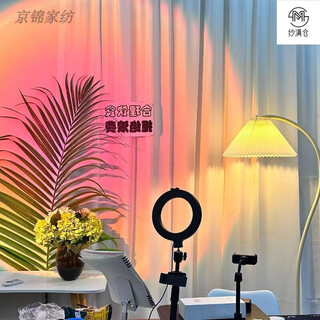 Live broadcast background cloth internet celebrity live broadcast room background curtain curtain free of punching velcro gauze curtain partition special for female anchors background gauze velcro processing width 2.001*height 2.72 meters one piece (suitable for close range