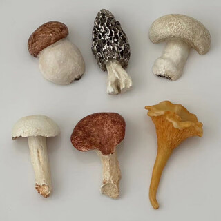 Other new products creative colorful resin mushroom cutlery rack cute mushroom ornaments highly decorative retro style props black gift box set of 6 cute mushroom heads (1 set of 6)