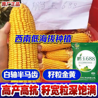 Высокоурожайные семена кукурузы pengyu 688, белый вал, damaya, оригинальная посадка, большая палка, безопасная и предпочтительная, низкая высота - pengyu 688 (повышение производства), 1 кг.
