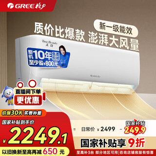Gree (gree) air conditioner 1.5 hp tianyi new 1-level frequency conversion heating and cooling energy saving extremely fast cooling and large air volume bacteria self-cleaning wall-mounted bedroom air conditioner hanging appliances subsidy 1.5 hp first-class energy efficiency tianyi hot-selling top