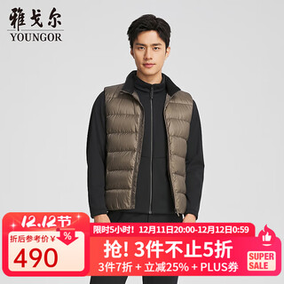 雅戈尔（YOUNGOR）羽绒马甲男士秋冬中青年轻薄羽绒马甲鸭绒充绒温暖商场同款 咖啡YDYD435509VLA M 170/92A
