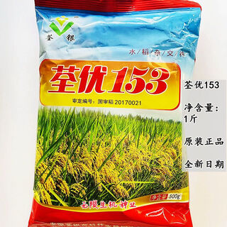 Семена риса quanyou 53, высокоурожайные семена гибридного риса, высокостебельный, короткостебельный, длиннозерный ароматный рис, первоклассные семена риса, quanyou 53 оригинальный 500г