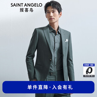 Annunciation bird suit men's spring men's merino wool business travel anti-wrinkle series suit suit pants suit men moss green texture solid color (strong twist) 48 a (175/96) / please note waist or pants