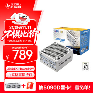 SUPER FLOWER振华 ATX3.1电源 额定850W LEADEX PROA850W 白色电源 九宫格盲插接口 金牌全模/支持 5090显卡
