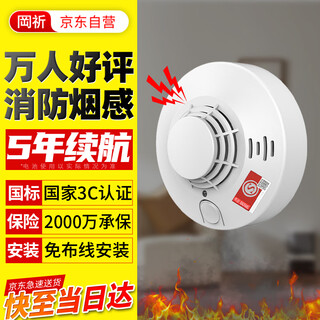 岡祈（Gangqi）烟雾报警器 烟感器消防3C认证家用商超光电感烟火灾浓烟探测感应