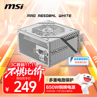 MSI微星MAG A650BNL WHITE额定650W铜牌电源（液压轴承风扇/主动式PFC/多重电路保护）
