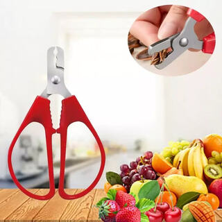 Pine nut opener, hazelnut pliers, walnut special clamp, dried fruit artifact pliers to open nuts, macadamia nut opener, pine nut clamp, single