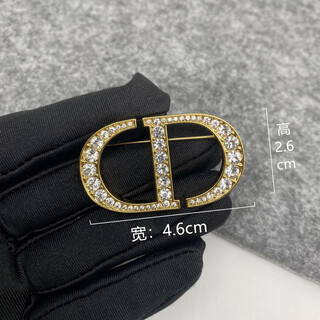 Snqpcd brooch letter brass diamond brooch simple temperament 2025 new fashion corsage sweater style coat suit pin cd diamond brooch