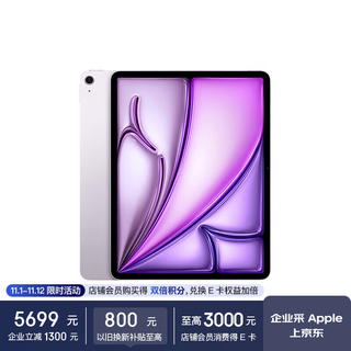 Apple iPad Air 13 英寸  M3芯片 25年新款平板电脑256GB WLAN版/MCNR4CH/A紫色*企业专享