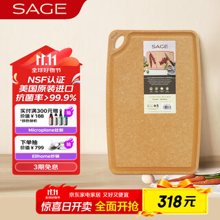世廚（SAGE）美国进口切菜板抗菌砧板案板耐高温带凹槽和防滑垫30*45*1cm