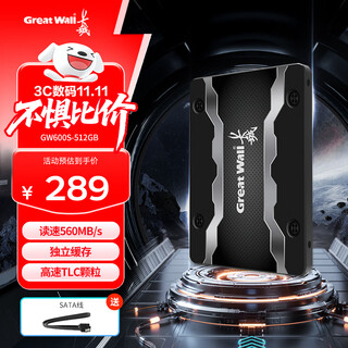 长城（Great Wall）512GB SSD固态硬盘 SATA3.0接口高速读写独立缓存 GW600S系列 读速560MB/S