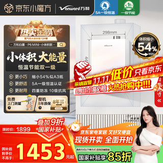 Vanward bailu p6m small size national subsidy 15% 16 liters gas water heater natural gas silent pressurized water servo constant temperature energy saving colorful pear white