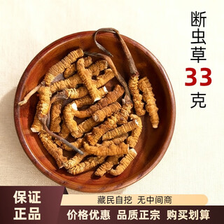 Cordyceps sinensis new goods new hay authentic cordyceps cut grass cordyceps cut cordyceps self-feeding nourishing authentic cordyceps cut cordyceps 33g (self-use nourishing improvement)