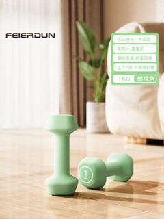Felton dumbbell women's fitness home equipment yoga children's men's strength training arm muscle small dumbbell cast iron 2kg matcha green 1kg*2 thin arm pilates aerobics one pair