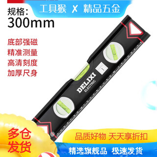 Delixi delixi level ruler strong magnetic high precision small anti-fall flat water ruler aluminum alloy balance measurement decoration ruler 300mm strong magnetic industrial grade engineer model