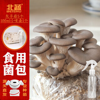 Northern vegetable mushroom planting bags, gray pleurotus home grown edible mushroom bags, small gray pleurotus mushroom packs, 5 straight from the source
