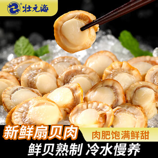 Zhuangyuanhai dalian seafood scallop meat 1jin jin equals 0.5kg 2 bags freshly peeled, clean and sand-free, straight from the source