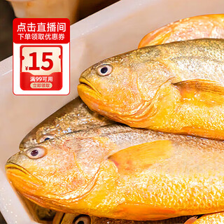 Hongshun chilled yellow croaker 4 pieces 4 jin jin is equal to 0.5 kg fresh fish ningde large yellow croaker landmark product directly from the source
