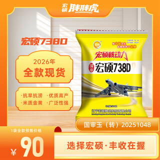 Hongshuo factory direct sales hongshuo 738d corn seed, rice quality, high yield, high resistance, strong resistance to barrenness, adaptable to a wide range of