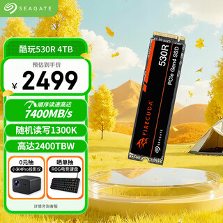 希捷（SEAGATE）4TB SSD固态硬盘 M.2接口(NVMe协议 PCIe4.0×4) AI电脑配件 电竞玩家 读速7400MB/S 酷玩530R