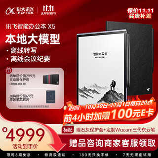 科大讯飞【重磅新品】智能办公本X5 10.65英寸 墨水屏电纸书 电子书阅读器 平板电脑 手写笔记本电纸书
