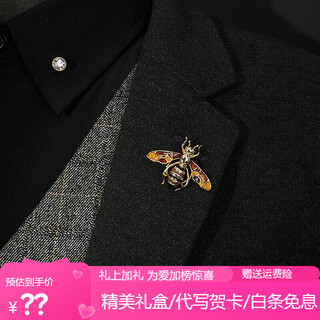 Shijun (shijun) chinese style glaze color brooch, exquisite enamel color dragonfly men's suit jacket, bird corsage handmade accessories, bee