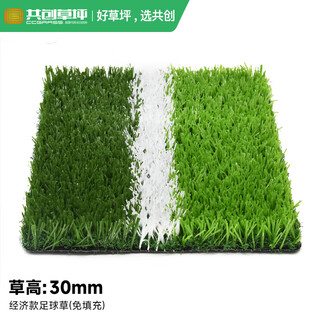 Co-create lawn co-create artificial grass 10 square meters plastic turf kindergarten gym greening outdoor courtyard school football field fake grass 30mm economical football grass (no filling) (10 square meters)