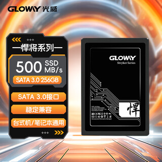 光威（Gloway）256GB SSD固态硬盘 SATA3.0 500MB/s 笔记本/台式机通用 悍将系列