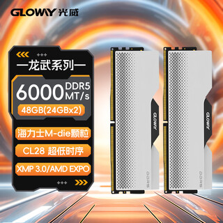 Gloway 48gb (24gbx2) ddr5 6000 desktop memory longwu vest hynix m-die cl28 deep space silver