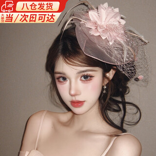 Lu shanwu top hat female french socialite pink mesh temperament elegant high-end hair accessories daughter banquet bride headdress veil feather flower top hat pink