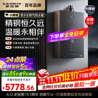 Smith (a.o.smith) 16 liters zero cold water gas water heater small fine steel ej5wi state subsidy supercharged large water volume constant temperature silent energy saving natural gas new product