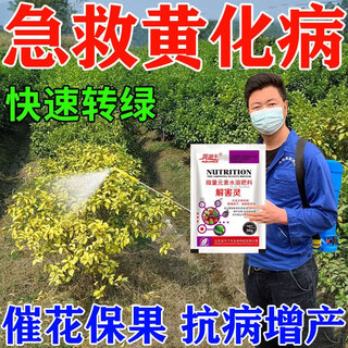 黄龙病果树专用药治柑橘脐橙黄龙病黄化病黄叶卷叶专用药营养液 3袋【买二送一】果树专用