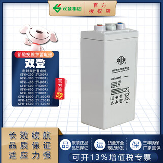 双登2V铅酸免维护蓄电池GFM-200/300/400/500/600/800/1000储能通讯 GFM-200 2V200Ah