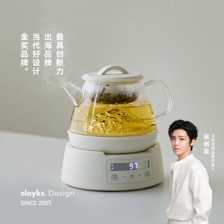 Olayks instant pure titanium health pot teapot steaming teapot teapot spray type mini small one person mother and baby grade material girl gift