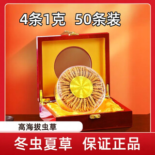 冬虫夏草（胖东来同款）虫草礼盒滋补送人送礼100条礼盒装高端 西藏那曲精品4根1克50条礼盒装