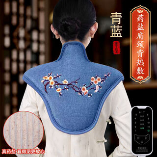 盐袋热敷包艾灸艾草海盐粗盐理疗袋子肩颈腰部全身通用电加热盐包 【时尚蓝】海盐智能十二档温控