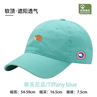 Couodogoose big goose baseball cap for men and women fashionable travel cap casual sun shade for men and women summer soft top versatile big head for all seasons tiffany blue
