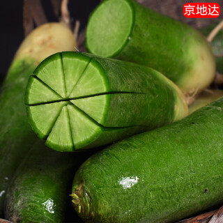 Jingdida shandong weifang green radish net weight 5jin jin is equal to 0.5kg, single fruit starting from 250g, crispy, sweet, juicy and slightly spicy, straight from the source