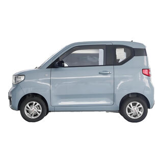 Litian new energy wuling hongguang mini dedicated slow charging to fast charging portable charging pile adapter suitable for charging gun wuling miniev